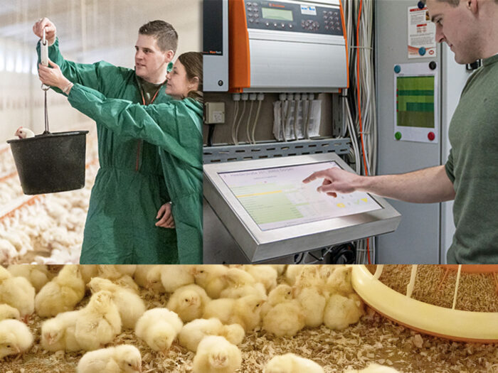 Haehnchenmaester_Kontrollen im Stall